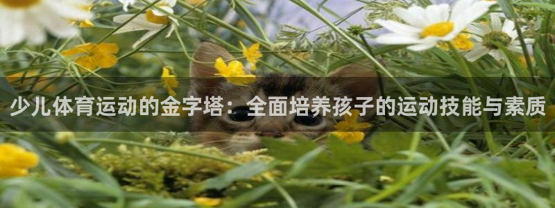 哈哈体育十年：少儿体育运动的金字塔：全面培养孩子的运动技能与素质