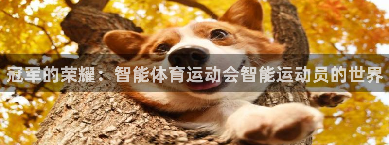 哈哈体育下载：冠军的荣耀：智能体育运动会智能运动员的世界