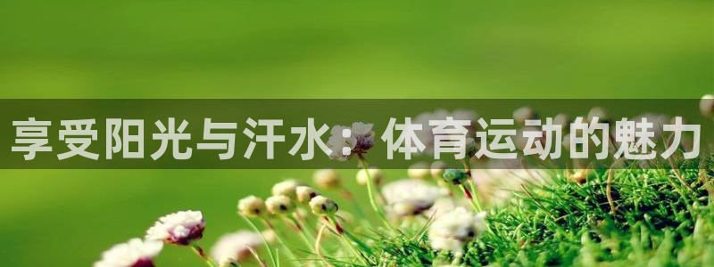 哈哈体育：享受阳光与汗水：体育运动的魅力