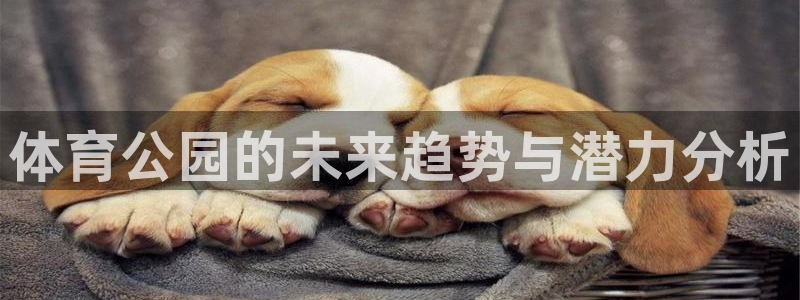 哈哈体育下载：体育公园的未来趋势与潜力分析
