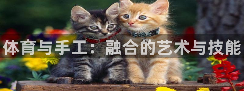 哈哈体育下载：体育与手工：融合的艺术与技能