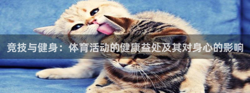 哈哈体育：竞技与健身：体育活动的健康益处及其对身心的影响