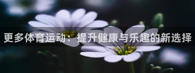 哈哈体育十年：更多体育运动：提升健康与乐趣的新选择
