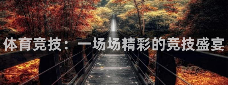 哈哈体育：体育竞技：一场场精彩的竞技盛宴