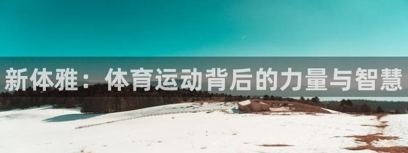 哈哈体育十年：新体雅：体育运动背后的力量与智慧