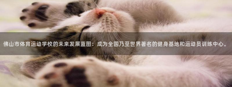 哈哈体育：佛山市体育运动学校的未来发展蓝图：成为全国乃至世界著名的健身基地和运动员训练中心。
