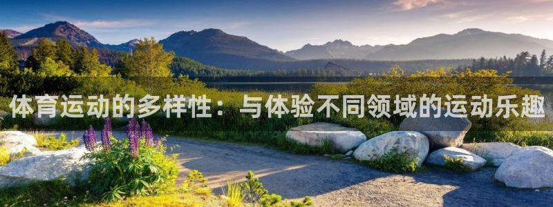 哈哈体育下载：体育运动的多样性：与体验不同领域的运动乐趣