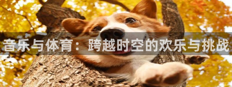 哈哈体育十年：音乐与体育：跨越时空的欢乐与挑战