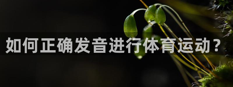 哈哈体育：如何正确发音进行体育运动？